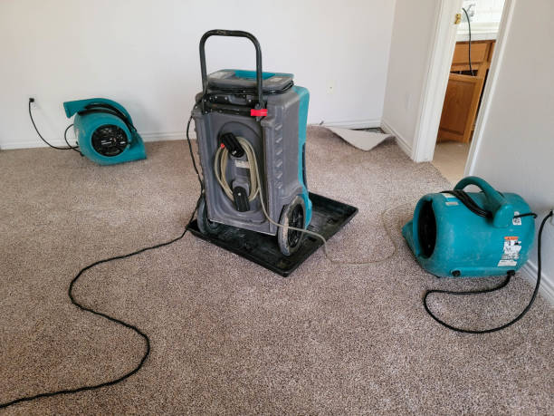 Best Water damage cleanup near me  in Oskaloosa, KS