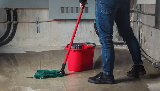 Best Residential water damage restoration  in Oskaloosa, KS