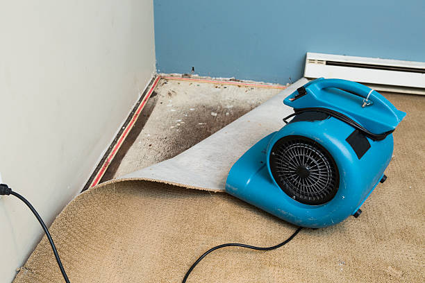 Trusted KS Water damage restoration Experts